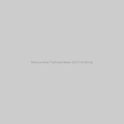 Deoxyuridine Triphosphatase (DUT) Antibody